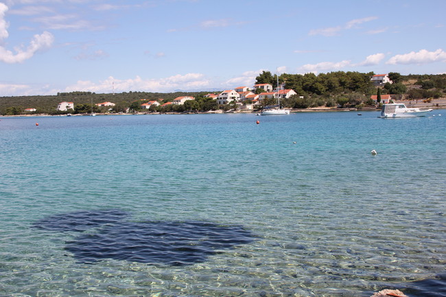 2006 Srce Marijino 14